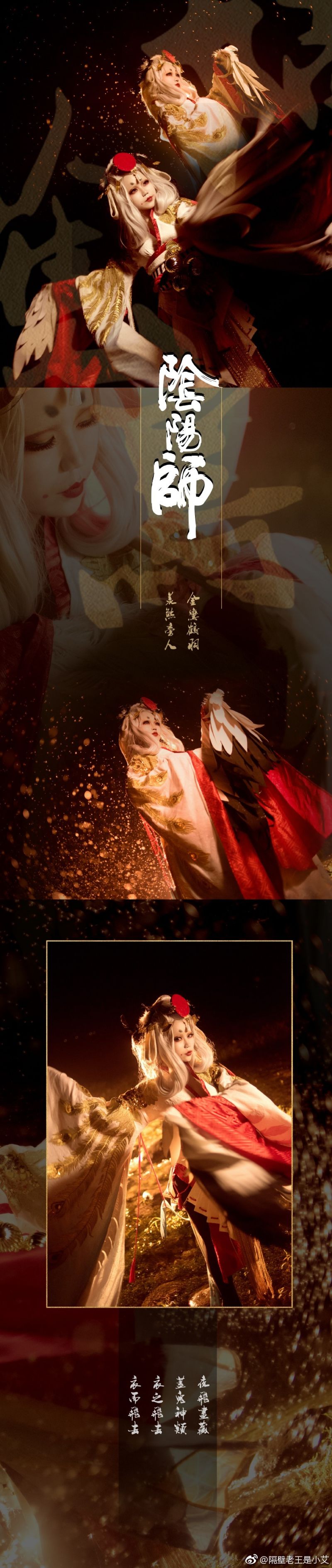 阴阳师 姑获鸟【衣毛为飞鸟 脱衣为女人】(2)