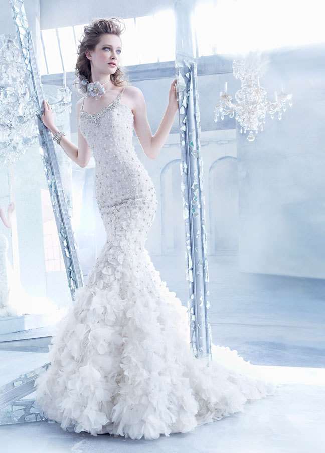 Lazaro Bridal Gowns, wedding dresses Fall 2014婚纱(3)
