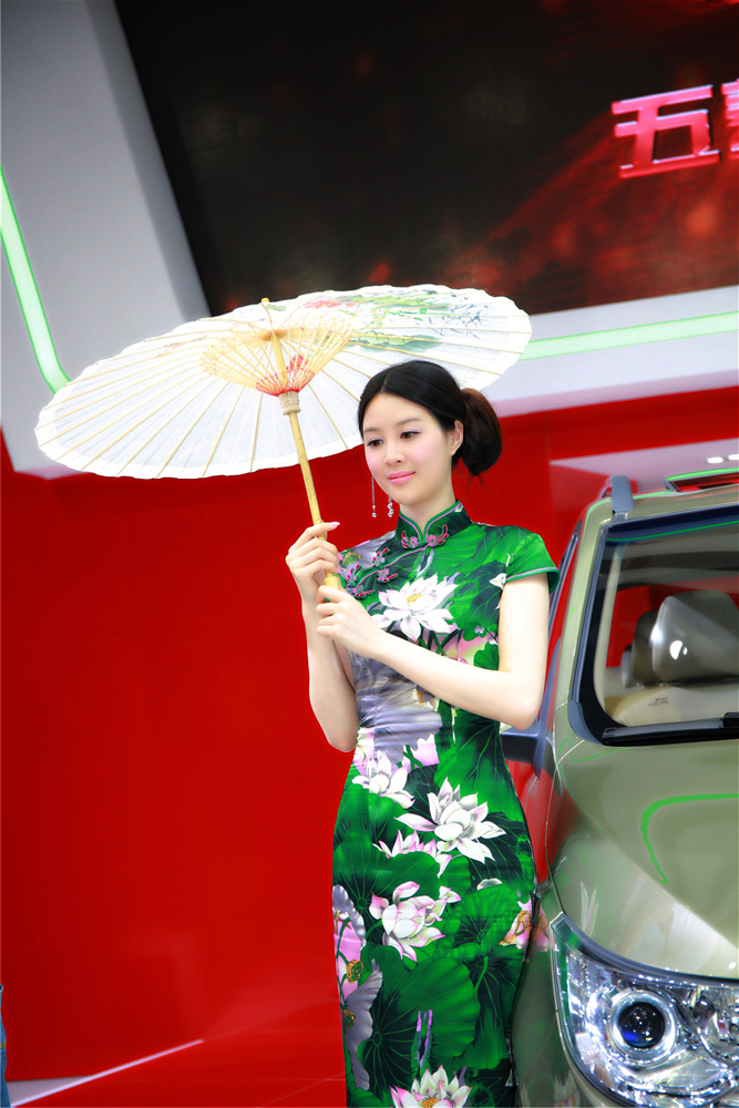 2014北京车展美模合集八(2)
