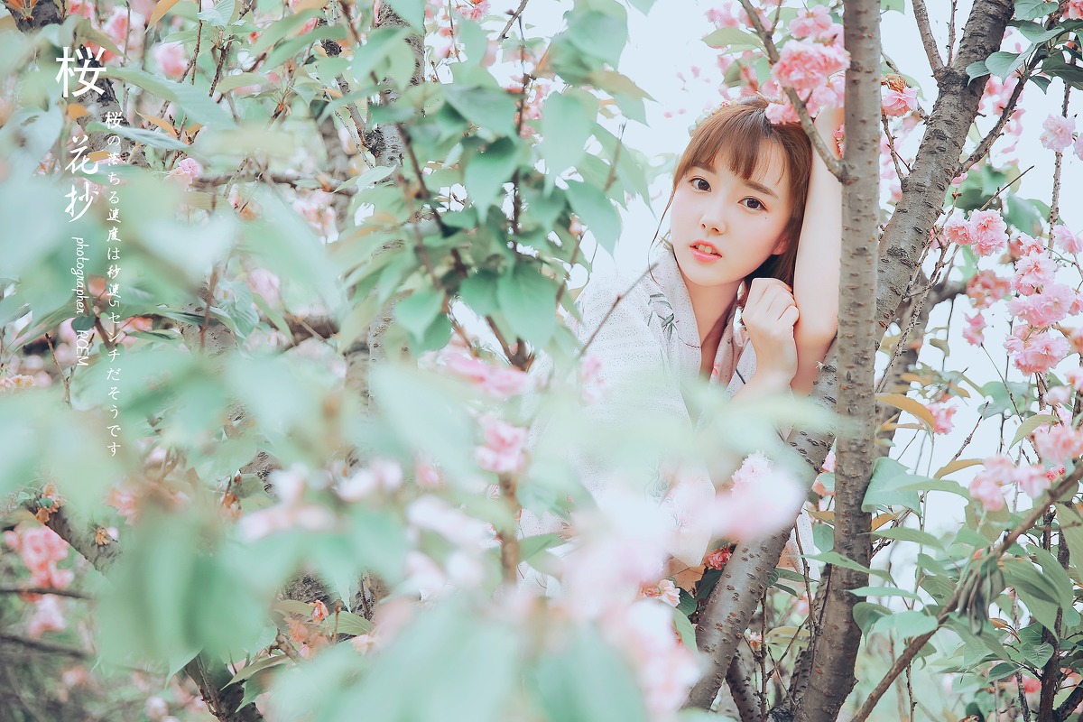 漂亮脸蛋日本女孩和服茶树花下写真(3)