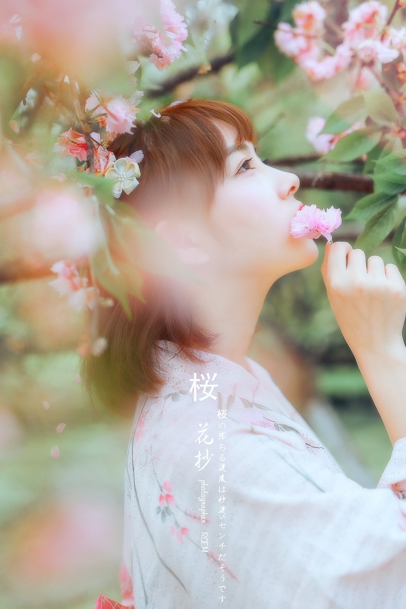 漂亮脸蛋日本女孩和服茶树花下写真(2)