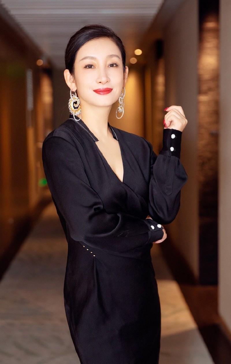 成熟女人秦海璐香艳气质优雅迷人明星嘉宾图片(2)