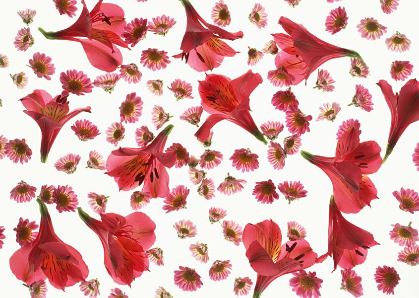 花