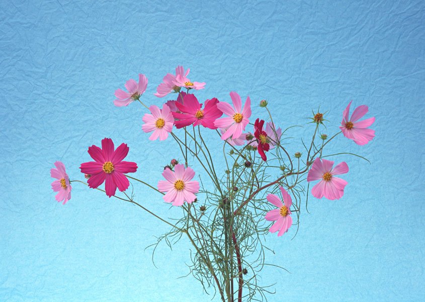 花